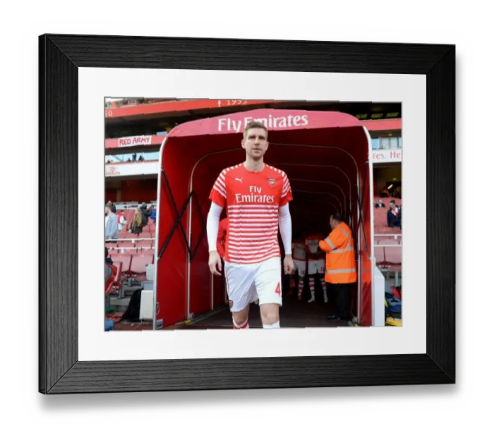 Framed Print : Per Mertesacker (Arsenal). Arsenal 3: 0 West Ham United. Barclays Premier League. Emirates Stadium