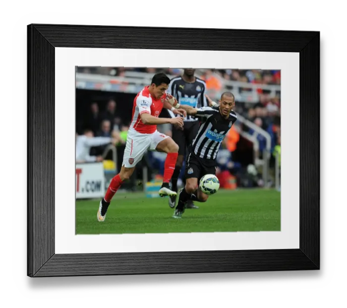 Framed Print : Arsenal's Alexis Sanchez Fends Off Newcastle's Yoan Gouffran During Intense Premier League Clash Framed Print : Arsenal's Alexis Sanchez Fends Off Newcastle's Yoan Gouffran During Intense Premier League Clash