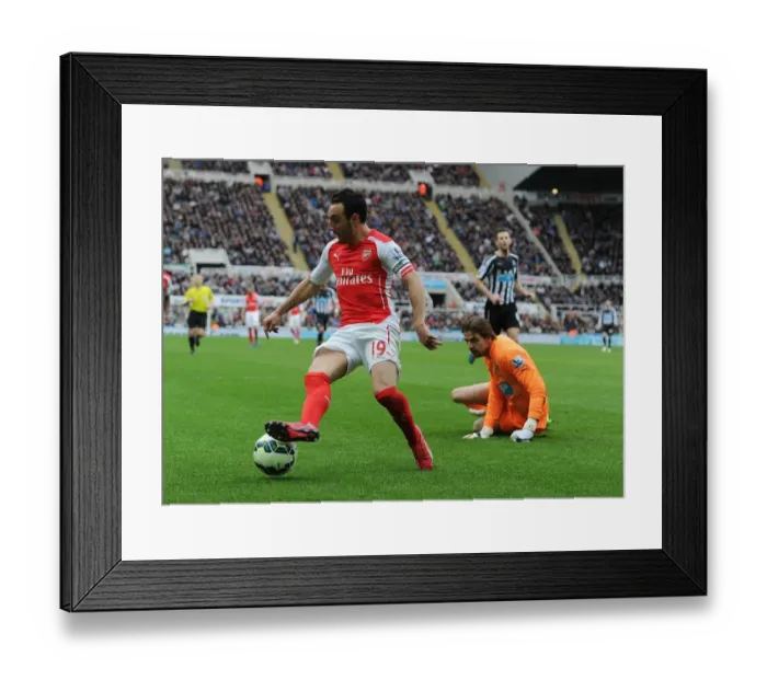 Framed Print : Santi Cazorla Breaks Past Newcastle's Tim Krul: Arsenal vs Newcastle United, Premier League 2014 / 15