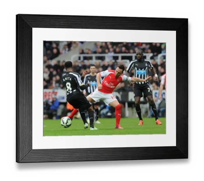 Framed Print : Santi Cazorla (Arsenal) Vernon Anita (Newcastle). Newcastle United 1: 2 Arsenal. Barclays