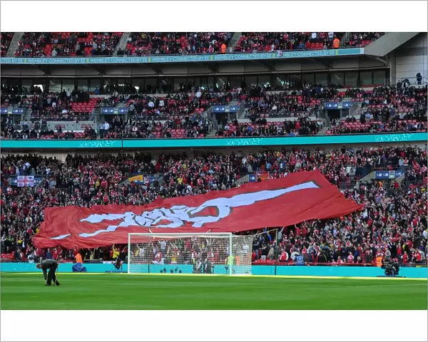 Arsenal FC: FA Cup Triumph at Wembley - Arsenal 2:1 Reading (Extra Time)