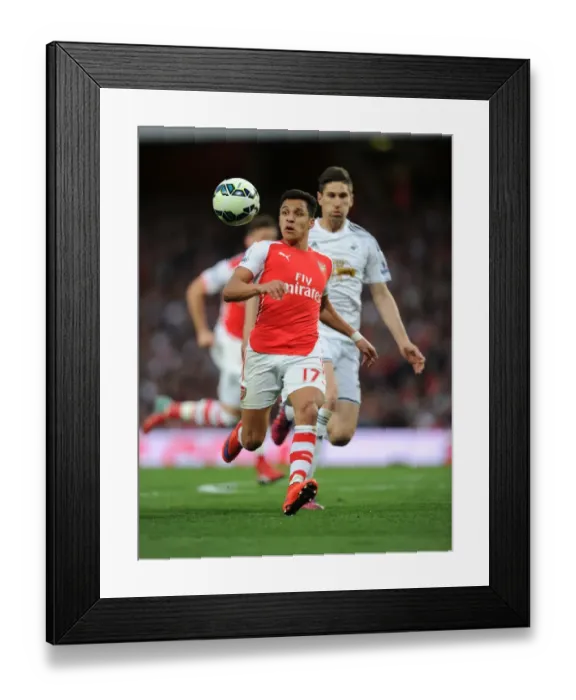 Framed Print : Arsenal's Alexis Sanchez in Action: Arsenal vs. Swansea City (Premier League 2014 / 15)