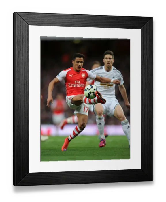 Framed Print : Alexis Sanchez in Action: Arsenal vs. Swansea City (2014 / 15 Premier League)