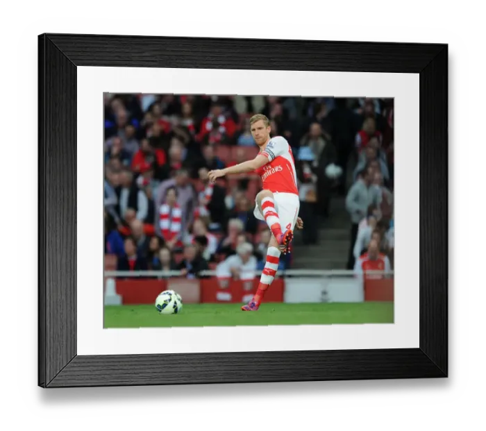 Framed Print : Per Mertesacker's Intense Focus: Arsenal's Final Premier League Showdown Against Swansea City (2014 / 15) Framed Print : Per Mertesacker's Intense Focus: Arsenal's Final Premier League Showdown Against Swansea City (2014 / 15)