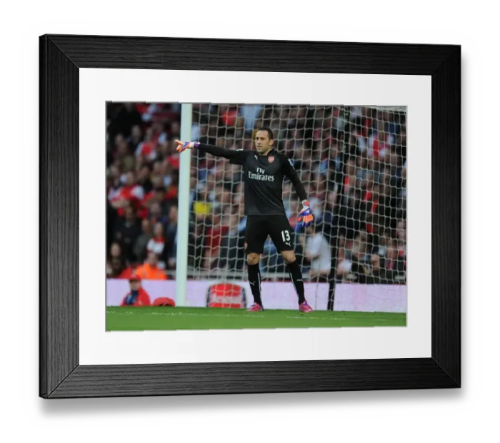 Framed Print : Arsenal's David Ospina in Focus: 2014 / 15 Season Match Against Swansea City