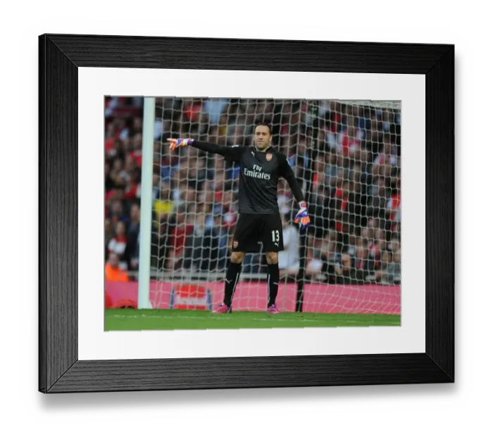 Framed Print : Arsenal's David Ospina in Action: Swansea City Clash, Premier League 2014-2015