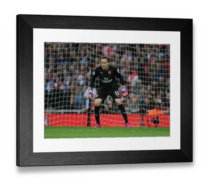 Framed Print : Arsenal's David Ospina in Action: 2014 / 15 Arsenal vs Swansea City Framed Print : Arsenal's David Ospina in Action: 2014 / 15 Arsenal vs Swansea City