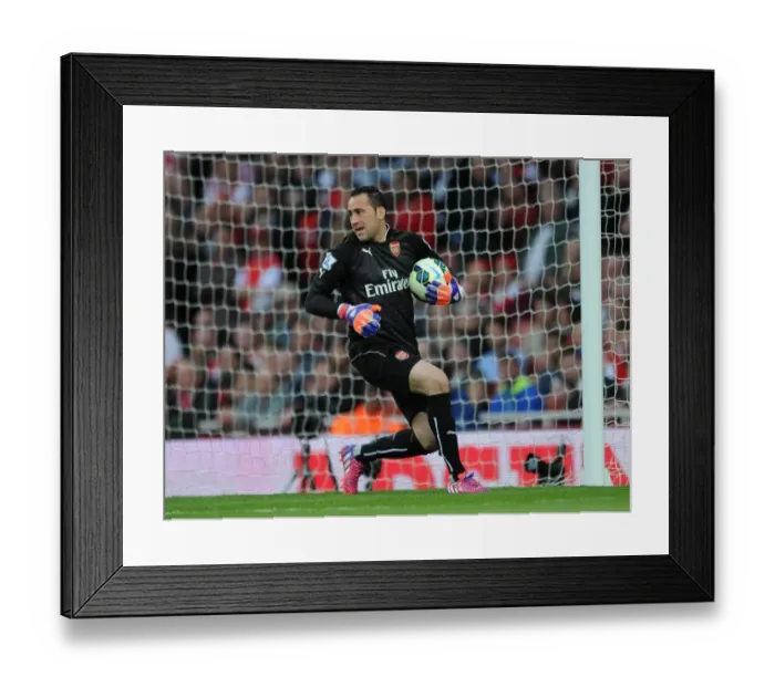 Framed Print : Arsenal's David Ospina: Unwavering Focus Against Swansea City (2014 / 15) Framed Print : Arsenal's David Ospina: Unwavering Focus Against Swansea City (2014 / 15)