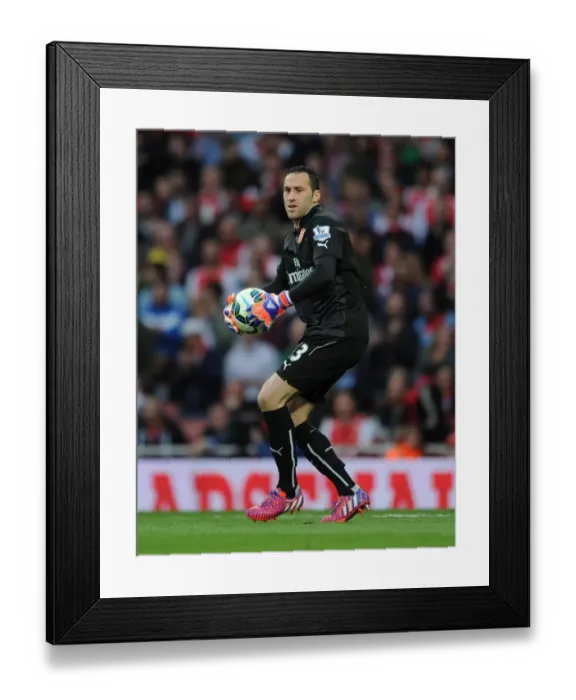 Framed Print : Arsenal's David Ospina in Action Against Swansea City (2014 / 15) Framed Print : Arsenal's David Ospina in Action Against Swansea City (2014 / 15)