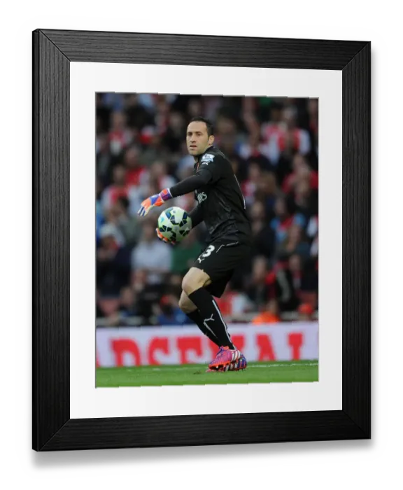 Framed Print : David Ospina's Unwavering Focus: Arsenal vs. Swansea City, Premier League 2014 / 15