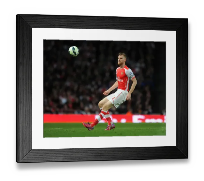 Framed Print : Per Mertesacker's Unwavering Concentration: Arsenal's Triumph Over Sunderland (2015) Framed Print : Per Mertesacker's Unwavering Concentration: Arsenal's Triumph Over Sunderland (2015)