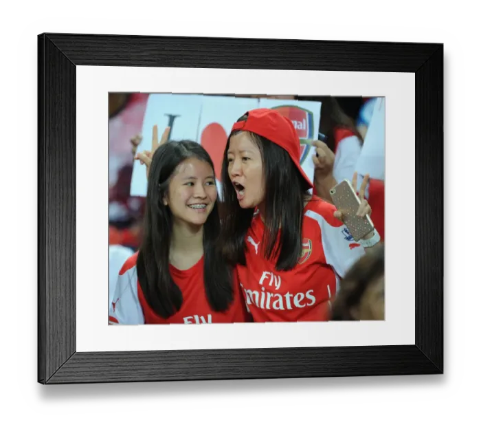 Framed Print : Arsenal fans. Arsenal 4: 0 Singapore XI. Barclays Asia Tour. Singapore, 15 / 7 / 15. Credit Framed Print : Arsenal fans. Arsenal 4: 0 Singapore XI. Barclays Asia Tour. Singapore, 15 / 7 / 15. Credit