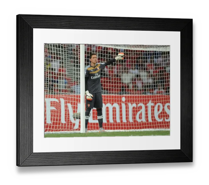 Framed Print : Arsenal's Wojciech Szczesny in Action against Singapore XI at Singapore National Stadium (July 15, 2015) Framed Print : Arsenal's Wojciech Szczesny in Action against Singapore XI at Singapore National Stadium (July 15, 2015)