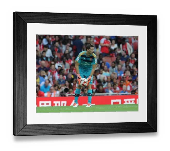 Framed Print : Emiliano Martinez: In Action for Arsenal Against Olympique Lyonnais, Emirates Cup 2015 / 16 Framed Print : Emiliano Martinez: In Action for Arsenal Against Olympique Lyonnais, Emirates Cup 2015 / 16