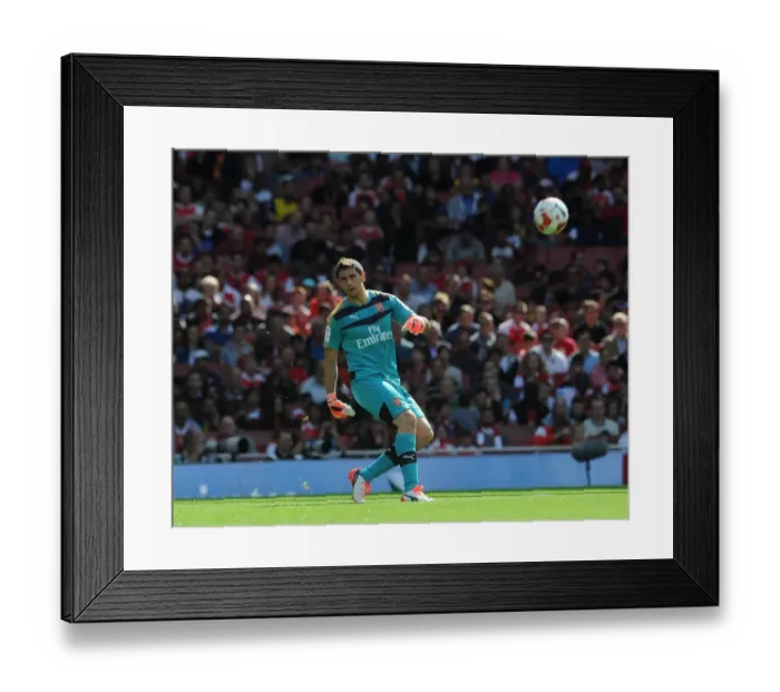 Framed Print : Emiliano Martinez: Arsenal's Star Goalkeeper in Action Against Olympique Lyonnais, Emirates Cup 2015 / 16 Framed Print : Emiliano Martinez: Arsenal's Star Goalkeeper in Action Against Olympique Lyonnais, Emirates Cup 2015 / 16