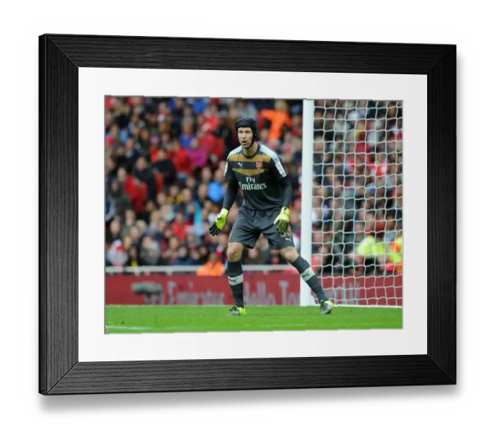 Framed Print : Arsenal's Petr Cech in Action at Emirates Cup 2015 / 16 vs VfL Wolfsburg Framed Print : Arsenal's Petr Cech in Action at Emirates Cup 2015 / 16 vs VfL Wolfsburg