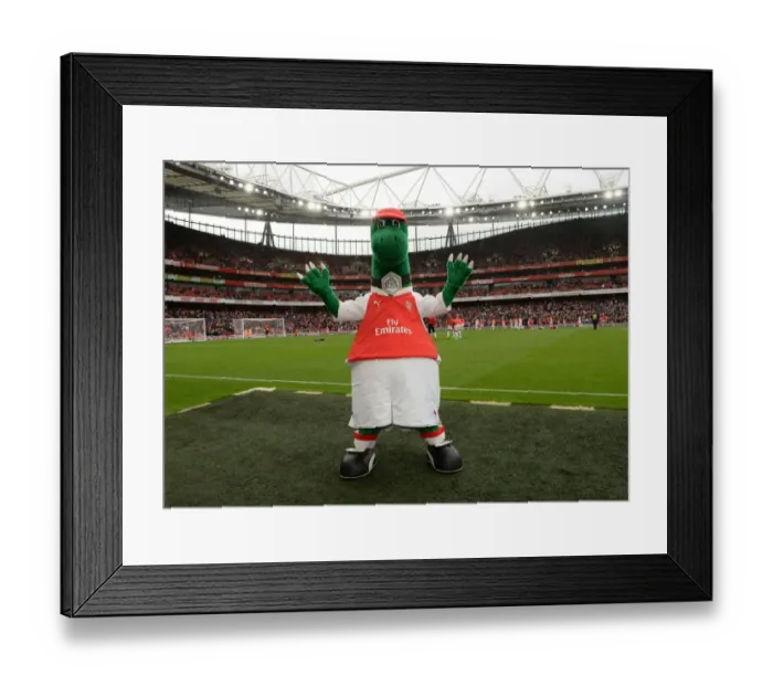 Framed Print : Gunnersaurus Ready for Battle: Arsenal's Mascot at Emirates Cup 2015 / 16 vs VfL Wolfsburg Framed Print : Gunnersaurus Ready for Battle: Arsenal's Mascot at Emirates Cup 2015 / 16 vs VfL Wolfsburg