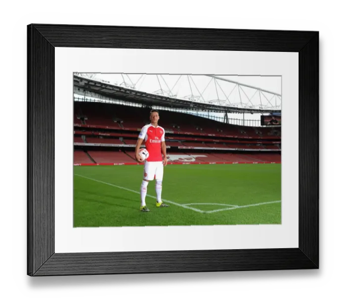 Framed Print : Mesut Ozil (Arsenal). Arsenal 1st Team Photcall and Training Session. Emirates Stadium Framed Print : Mesut Ozil (Arsenal). Arsenal 1st Team Photcall and Training Session. Emirates Stadium