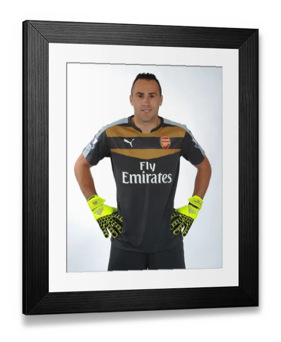 Framed Print : David Ospina with Arsenal's First Team in 2015-16: Emirates Stadium Photocall Framed Print : David Ospina with Arsenal's First Team in 2015-16: Emirates Stadium Photocall