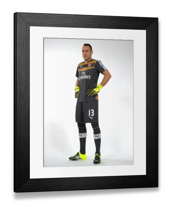 Framed Print : Arsenal First Team 2015-16: David Ospina at Emirates Stadium