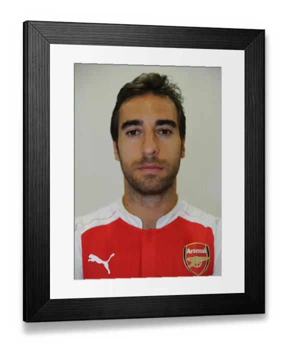 Framed Print : Arsenal's Mathieu Flamini at 2015-16 First Team Photocall Framed Print : Arsenal's Mathieu Flamini at 2015-16 First Team Photocall
