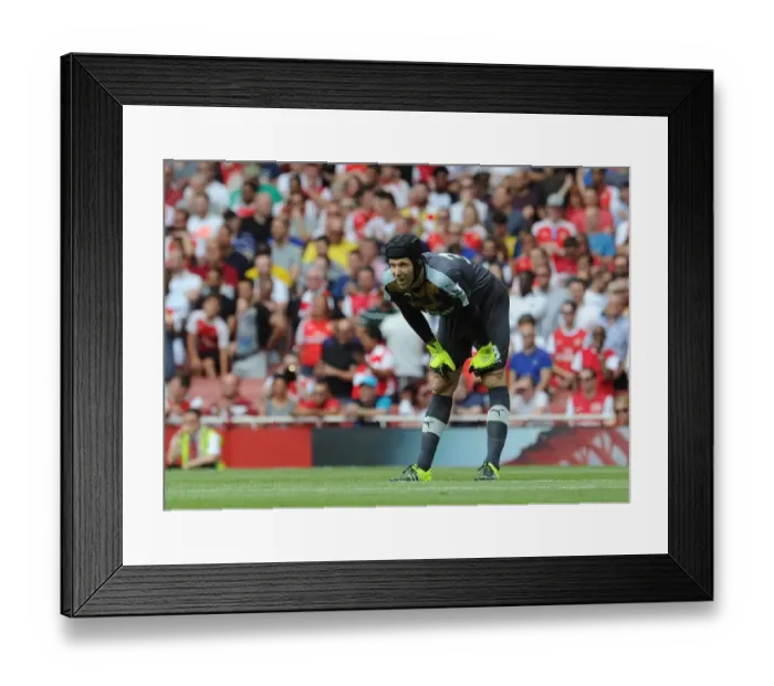 Framed Print : Petr Cech (Arsenal). Arsenal 0: 2 West Ham United. Barclays Premier League. Emirates Stadium Framed Print : Petr Cech (Arsenal). Arsenal 0: 2 West Ham United. Barclays Premier League. Emirates Stadium