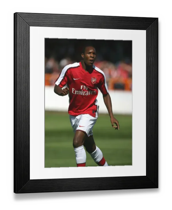 Framed Print : Gavin Hoyte (Arsenal) Framed Print : Gavin Hoyte (Arsenal)