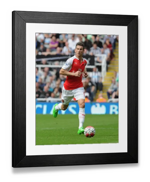 Framed Print : Arsenal's Koscielny Faces Newcastle in 2015-16 Premier League Showdown Framed Print : Arsenal's Koscielny Faces Newcastle in 2015-16 Premier League Showdown