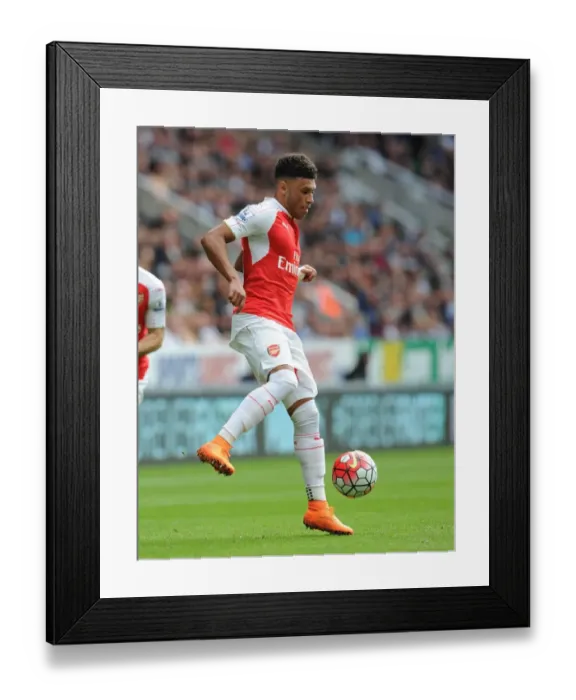 Framed Print : Arsenal's Alex Oxlade-Chamberlain Faces Newcastle United in Premier League Clash (2015-16) Framed Print : Arsenal's Alex Oxlade-Chamberlain Faces Newcastle United in Premier League Clash (2015-16)