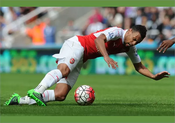 Coquelin in Action: Arsenal's Midfield Maestro Shines Against Newcastle United, Premier League 2015-16