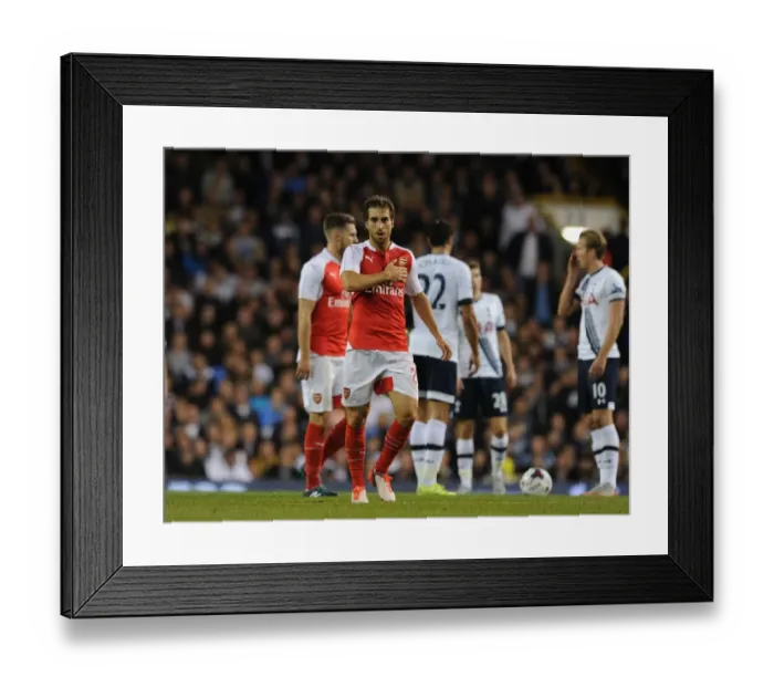 Framed Print : Flamini's Stunner: Arsenal's Capital One Cup Victory over Tottenham Framed Print : Flamini's Stunner: Arsenal's Capital One Cup Victory over Tottenham