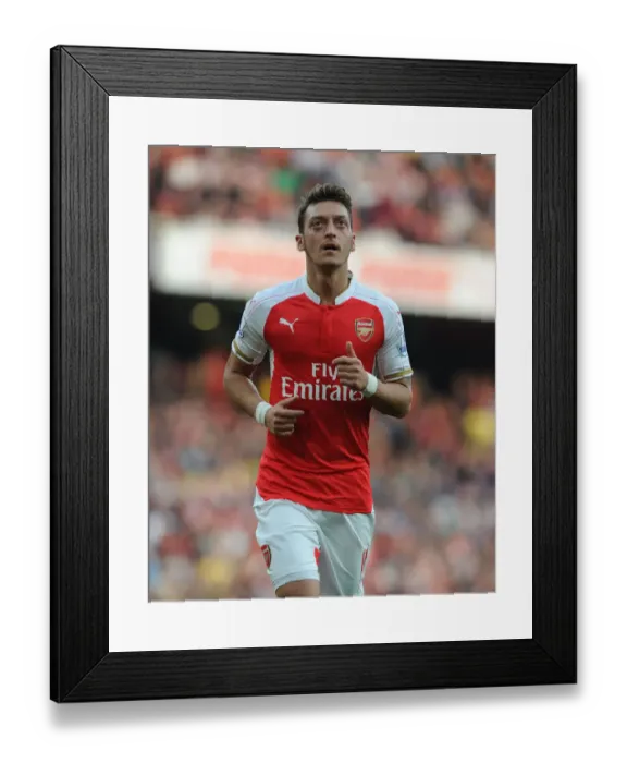 Framed Print : Mesut Ozil in Action: Arsenal vs Manchester United, Premier League 2015 / 16 Framed Print : Mesut Ozil in Action: Arsenal vs Manchester United, Premier League 2015 / 16