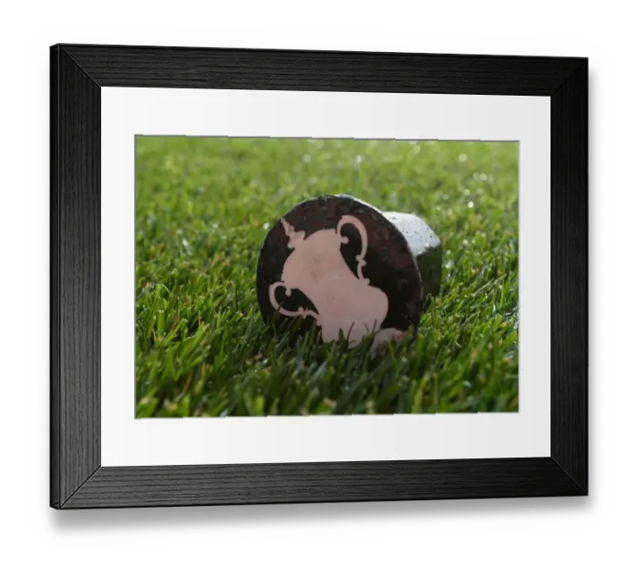 Framed Print : Arsenal vs Manchester United: The Contested Corner Flag Moment, Premier League 2015 / 16