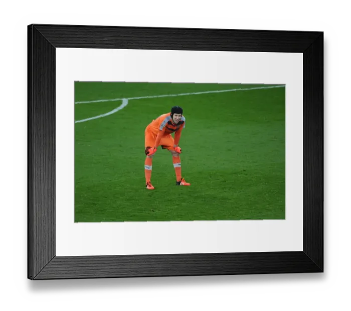 Framed Print : Arsenal's Petr Cech Faces Off Against FC Bayern Munich in 2015 / 16 UEFA Champions League