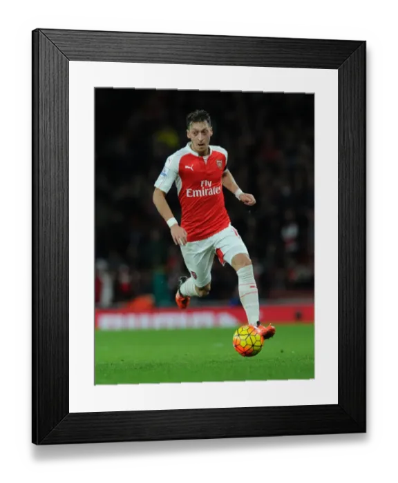 Framed Print : Mesut Ozil in Action: Arsenal vs Everton, Premier League 2015 / 16 Framed Print : Mesut Ozil in Action: Arsenal vs Everton, Premier League 2015 / 16