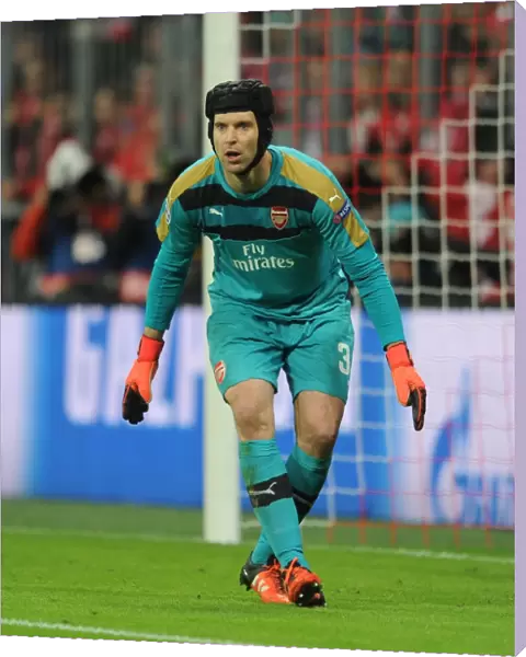 Petr Cech (Arsenal). Bayern Munich 5: 1 Arsenal. UEFA Champions League. Allianz Arena