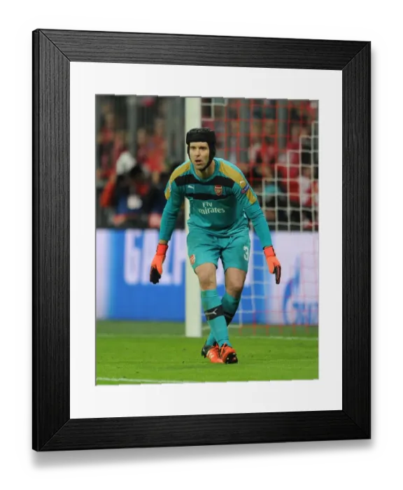 Framed Print : Petr Cech (Arsenal). Bayern Munich 5: 1 Arsenal. UEFA Champions League. Allianz Arena Framed Print : Petr Cech (Arsenal). Bayern Munich 5: 1 Arsenal. UEFA Champions League. Allianz Arena