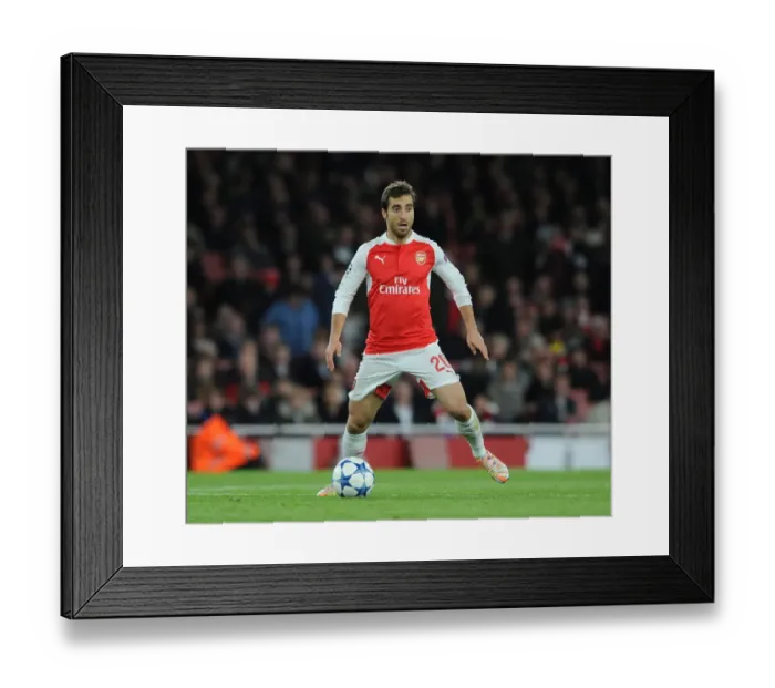 Framed Print : Mathieu Flamini in Action: Arsenal vs Dinamo Zagreb, UEFA Champions League 2015-16 Framed Print : Mathieu Flamini in Action: Arsenal vs Dinamo Zagreb, UEFA Champions League 2015-16