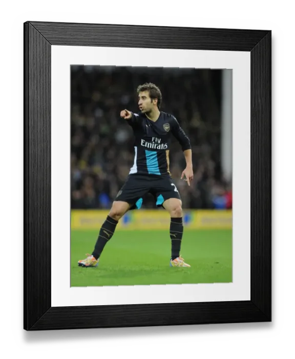 Framed Print : Flamini in Action: Arsenal vs. Norwich City, Premier League 2015-16 Framed Print : Flamini in Action: Arsenal vs. Norwich City, Premier League 2015-16
