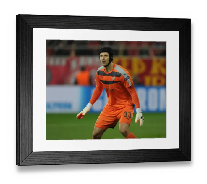 Framed Print : Petr Cech in Focus: Arsenal's Goalkeeper Concentrates During Olympiacos UCL Clash, 2015 Framed Print : Petr Cech in Focus: Arsenal's Goalkeeper Concentrates During Olympiacos UCL Clash, 2015