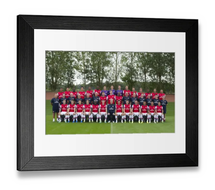 Framed Print : Arsenal First Team Squad 2013-14: The Entire Squad