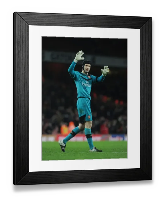 Framed Print : Petr Cech's Reaction: Arsenal v Newcastle United, Premier League 2015-16 Framed Print : Petr Cech's Reaction: Arsenal v Newcastle United, Premier League 2015-16