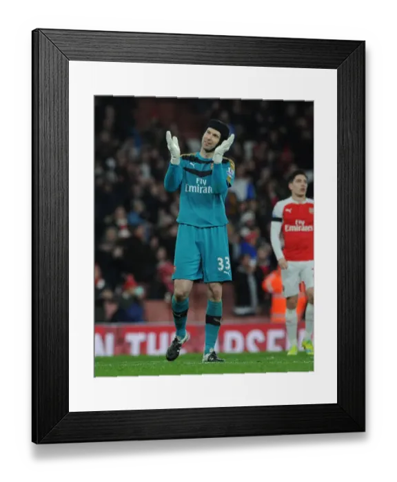 Framed Print : Petr Cech's Emotional Reaction: Arsenal vs Newcastle United, Premier League 2016