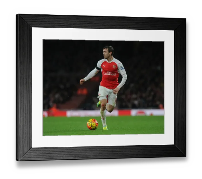Framed Print : Monreal in Action: Arsenal vs Newcastle United (Premier League 2015-16) Framed Print : Monreal in Action: Arsenal vs Newcastle United (Premier League 2015-16)