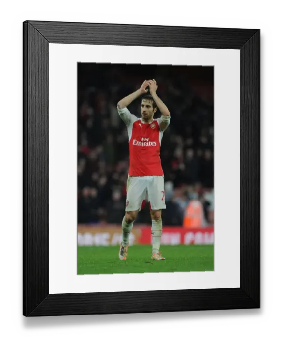 Framed Print : Arsenal Celebrates Premier League Victory Over Newcastle United: Mathieu Flamini's Triumphant Moment (2015-16) Framed Print : Arsenal Celebrates Premier League Victory Over Newcastle United: Mathieu Flamini's Triumphant Moment (2015-16)