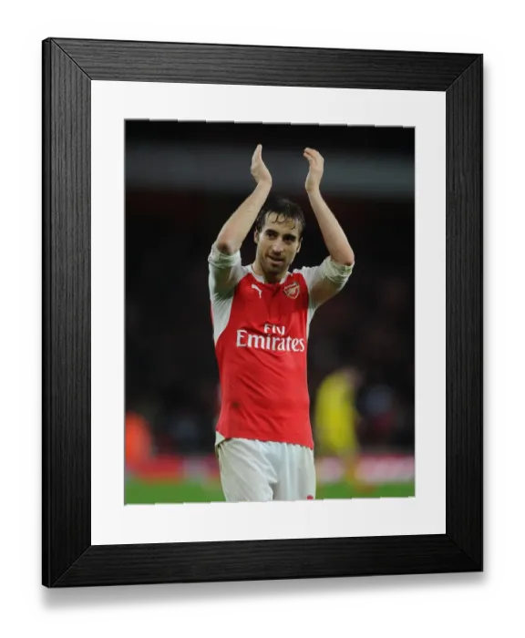 Framed Print : Mathieu Flamini: Arsenal Star's Euphoric Moment with Fans after Newcastle United Victory Framed Print : Mathieu Flamini: Arsenal Star's Euphoric Moment with Fans after Newcastle United Victory