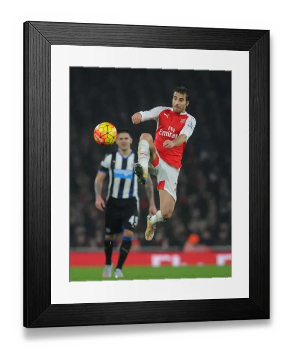 Framed Print : Flamini in Action: Arsenal vs Newcastle United, Premier League 2015-16 Framed Print : Flamini in Action: Arsenal vs Newcastle United, Premier League 2015-16