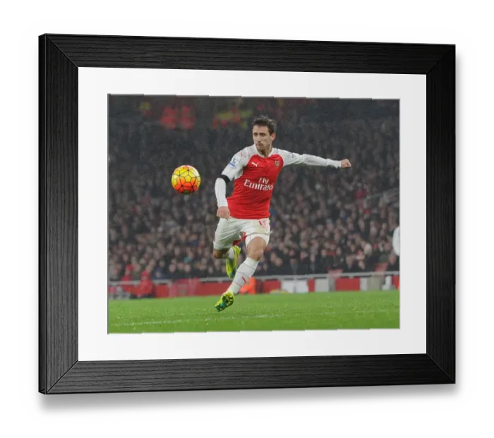 Framed Print : Nacho Monreal in Action: Arsenal vs Newcastle United, Premier League 2015-16 Framed Print : Nacho Monreal in Action: Arsenal vs Newcastle United, Premier League 2015-16