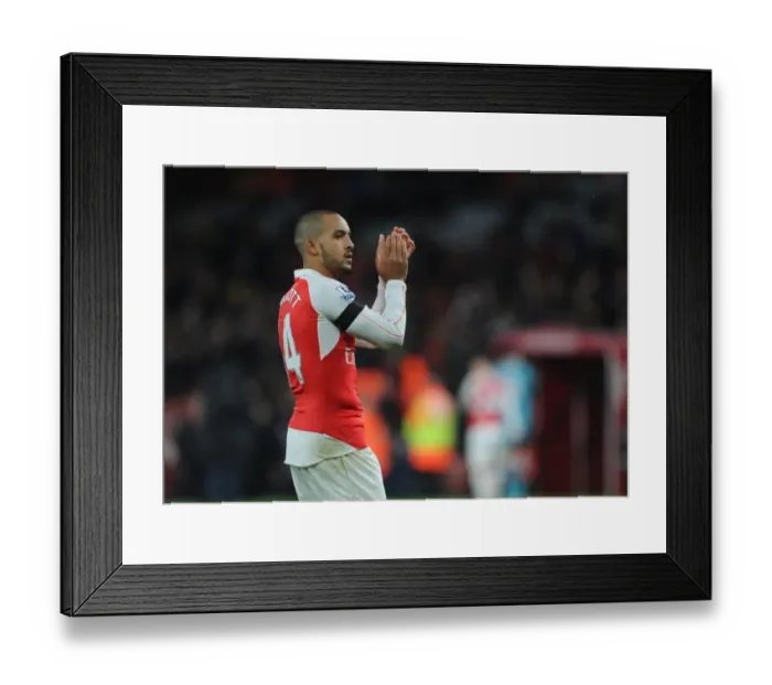 Framed Print : Theo Walcott's Triumphant Moment with Arsenal Fans after Arsenal v Newcastle United Match, Premier League 2015-16