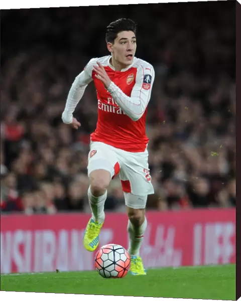 Arsenal's Triumph: Hector Bellerin's Game-Winning Performance in FA Cup Victory over Sunderland (1 / 9 / 15)